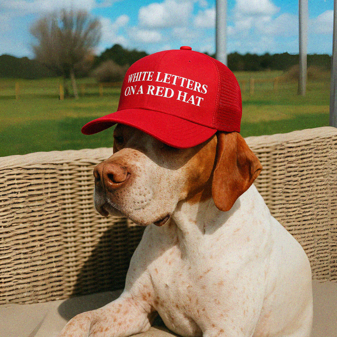 Hold For Plain | White Letters on a Red Hat - Hold for Plain